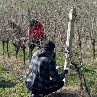 Nasce Alleanza Bilaterale tra cinque enti agricoli